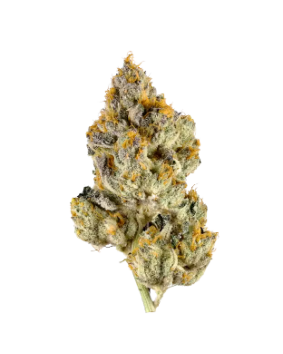 Jet Fuel